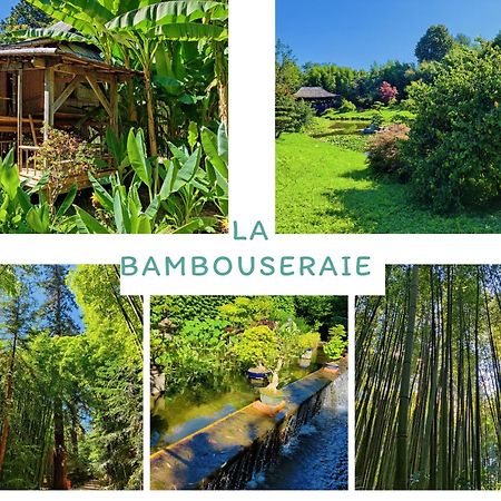 Gite Proche De La Bambouseraie Boisset-et-Gaujac 外观 照片