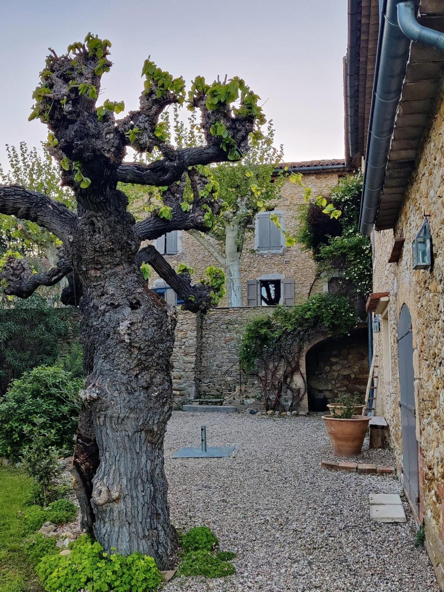 Gite Proche De La Bambouseraie Boisset-et-Gaujac 外观 照片